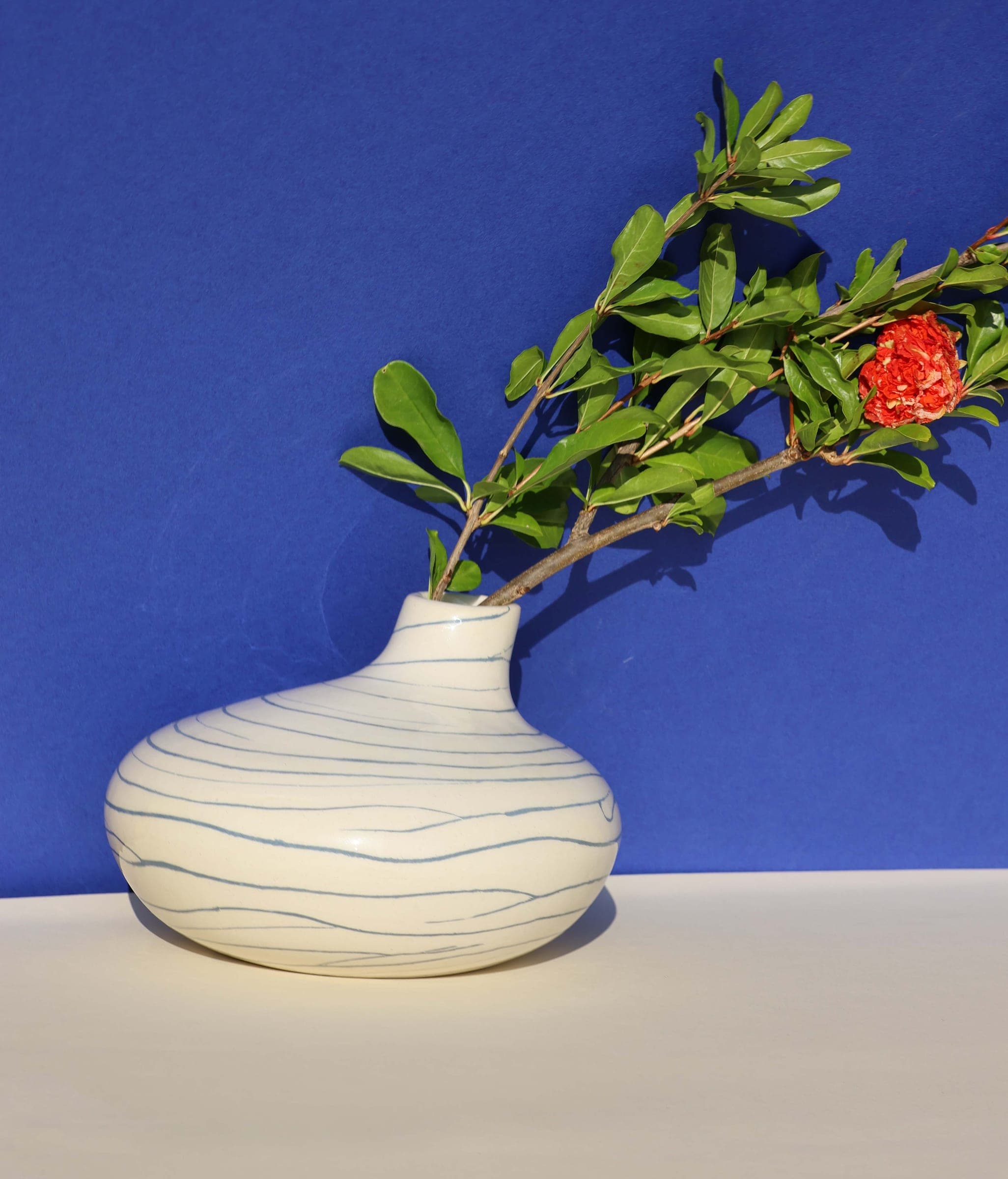 Collection Ombelle - Soliflore