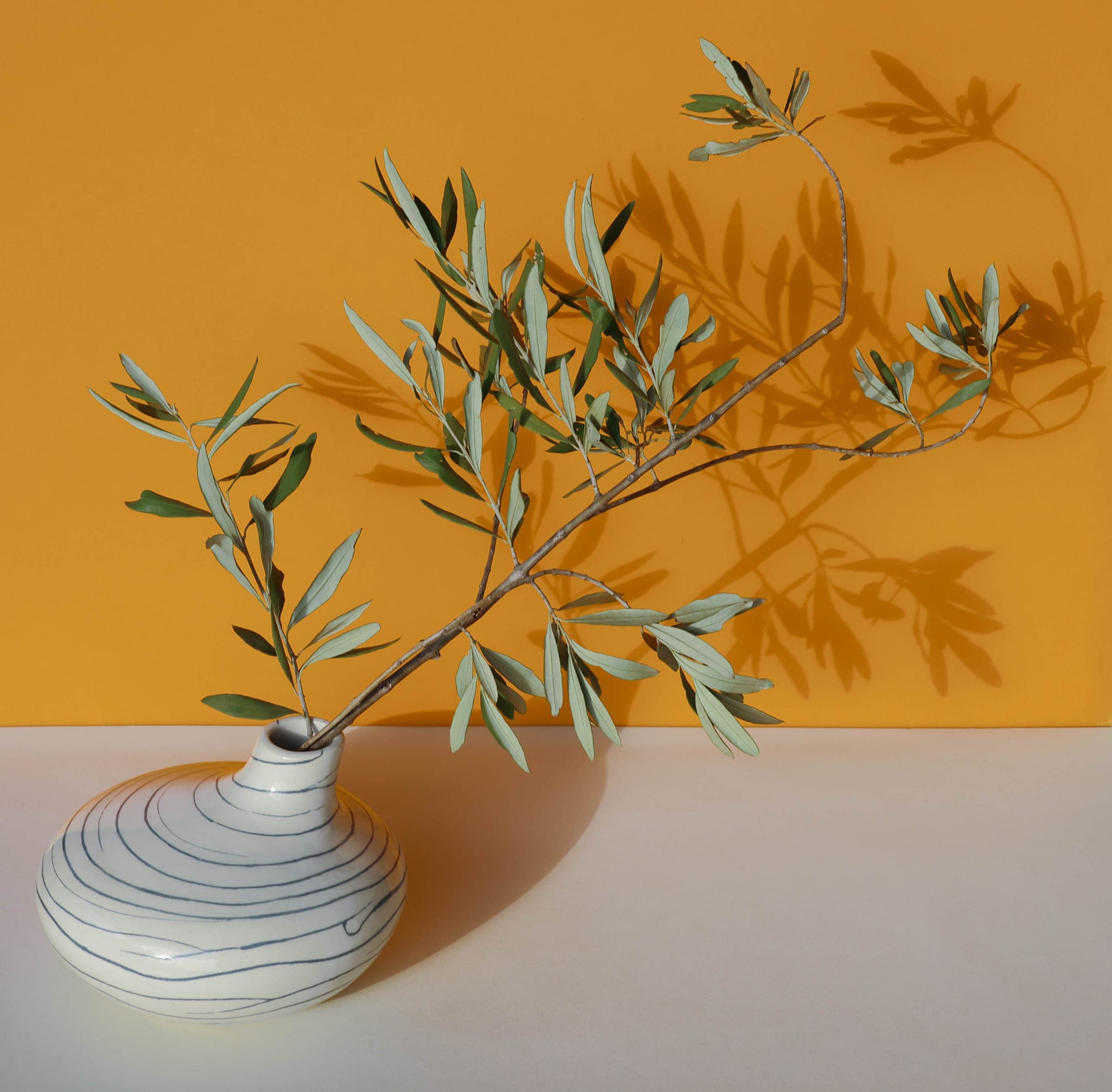 Collection Ombelle - Soliflore - vue 2
