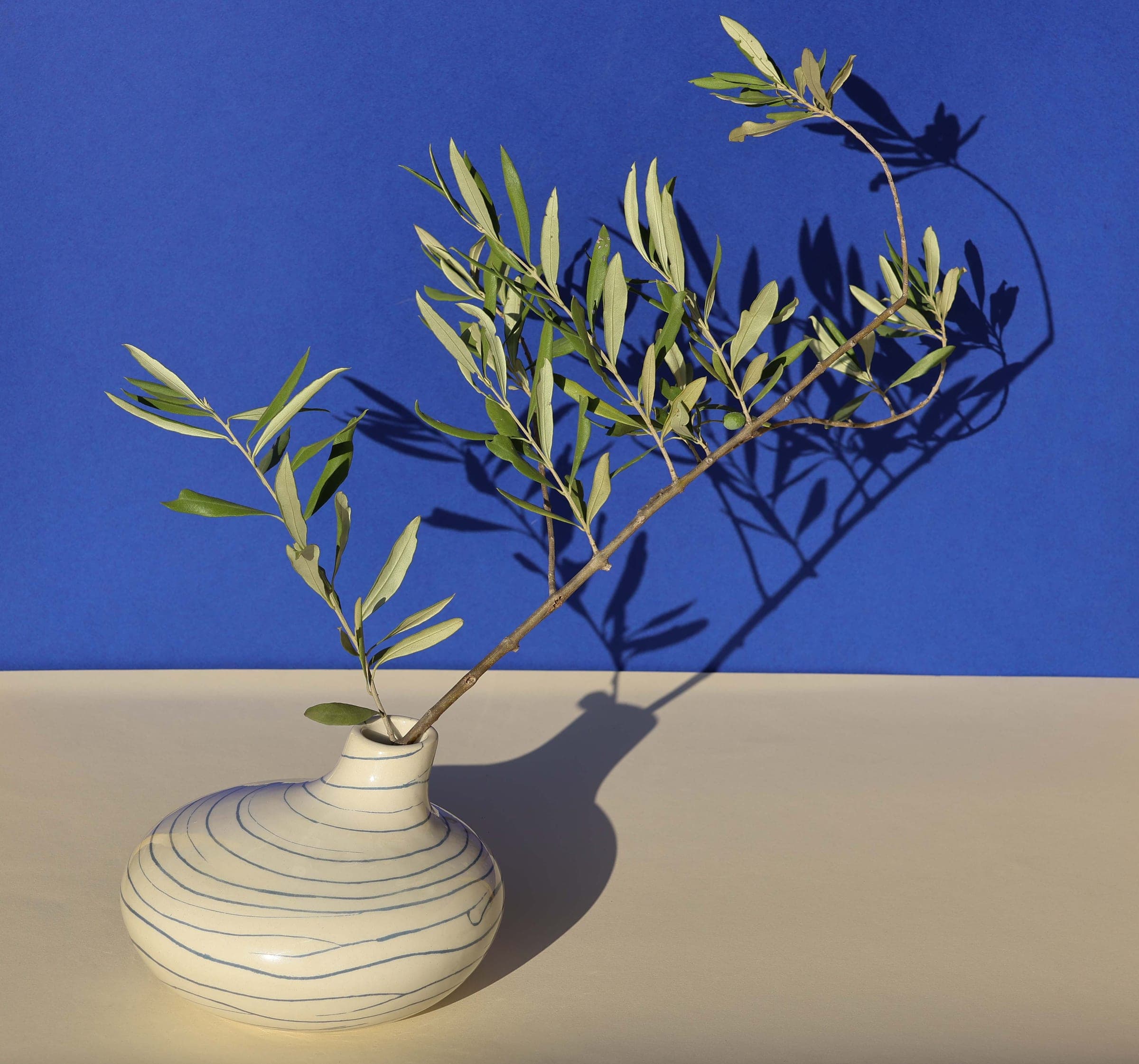 Collection Ombelle - Soliflore - vue 3