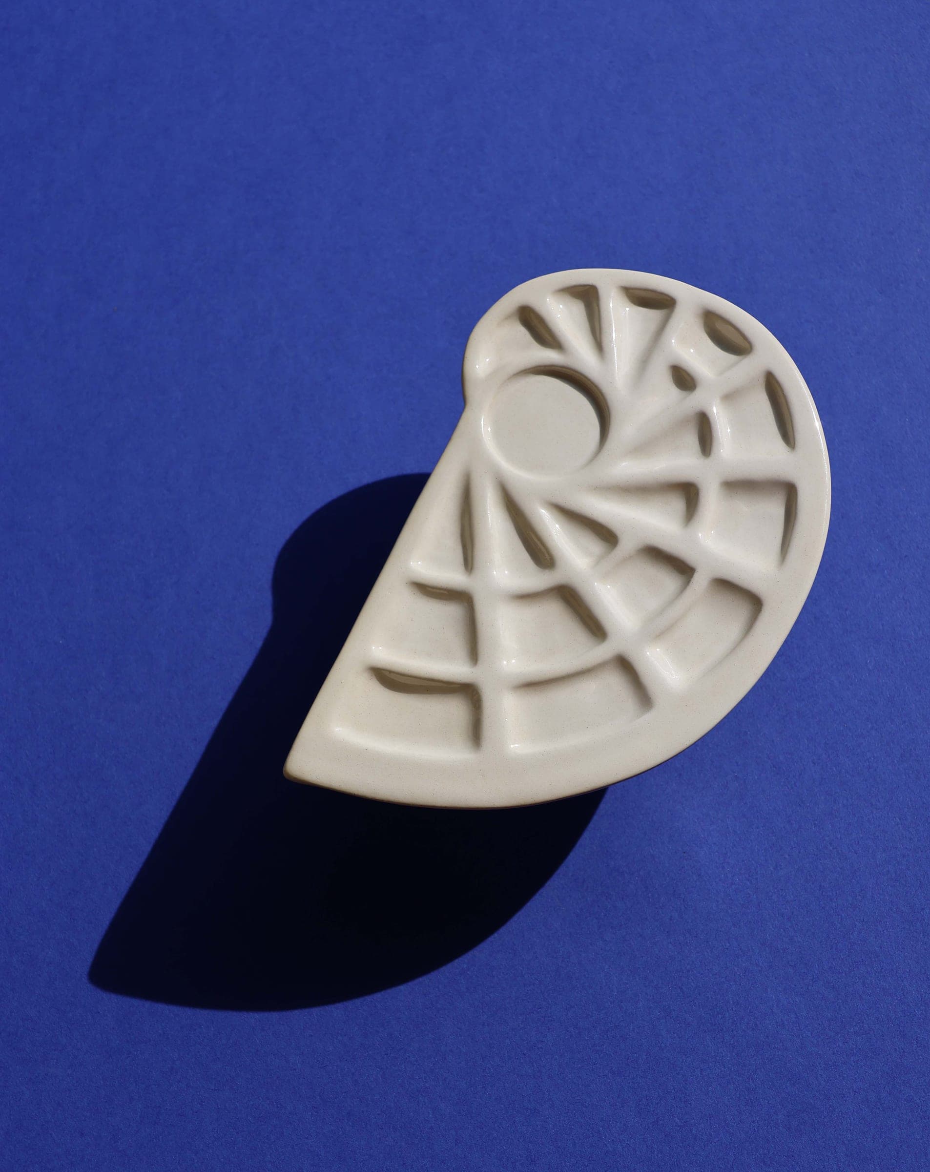 Nautilus — 20 cm x 14 cm x 19 cases